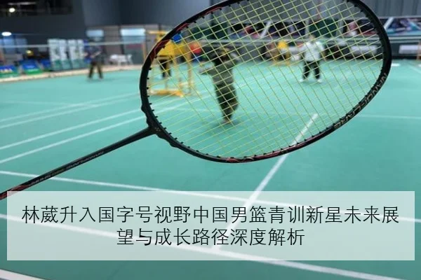 林高远新周期单打机会增加国乒内部竞争格局深度解析